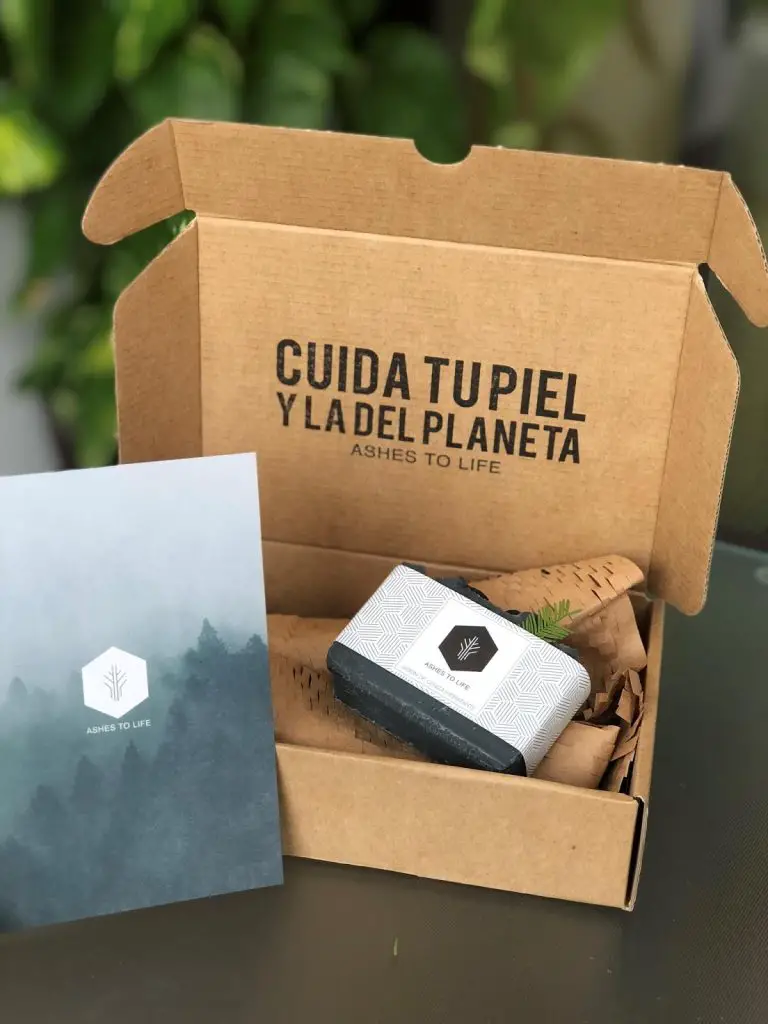 Beneficios y tips para cambiarte a un jabón vegano: Cuida tu piel y el planeta