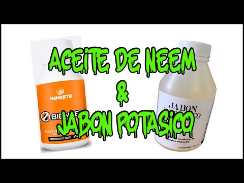 Maximizando la Floración: La Eficacia del Aceite de Neem y Jabón Potásico en el Cuidado de Tus Plantas